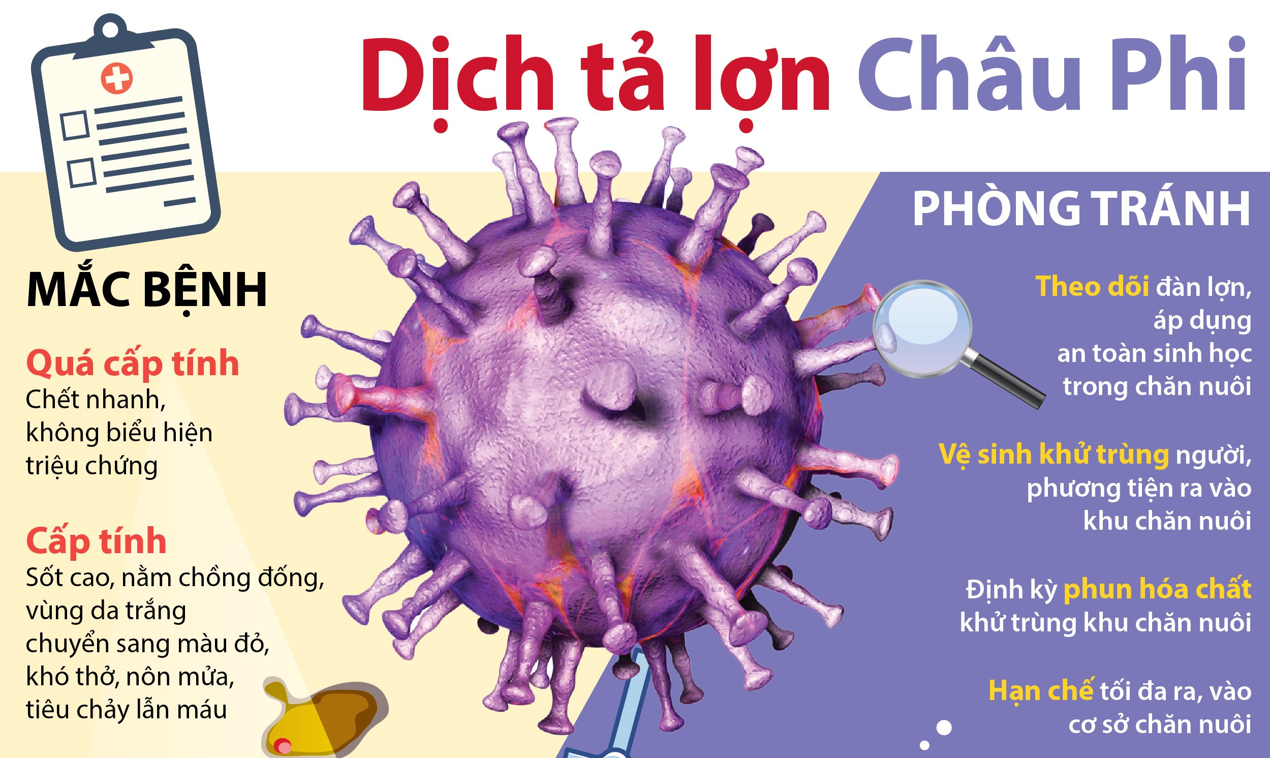 UBND TỈNH ĐẮK LẮK KHUYẾN CÁO NGƯỜI DÂN TĂNG CƯỜNG PHÒNG, CHỐNG BỆNH TẢ
